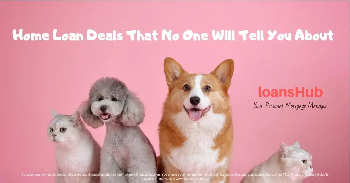 Business 4 image LOANSHUB