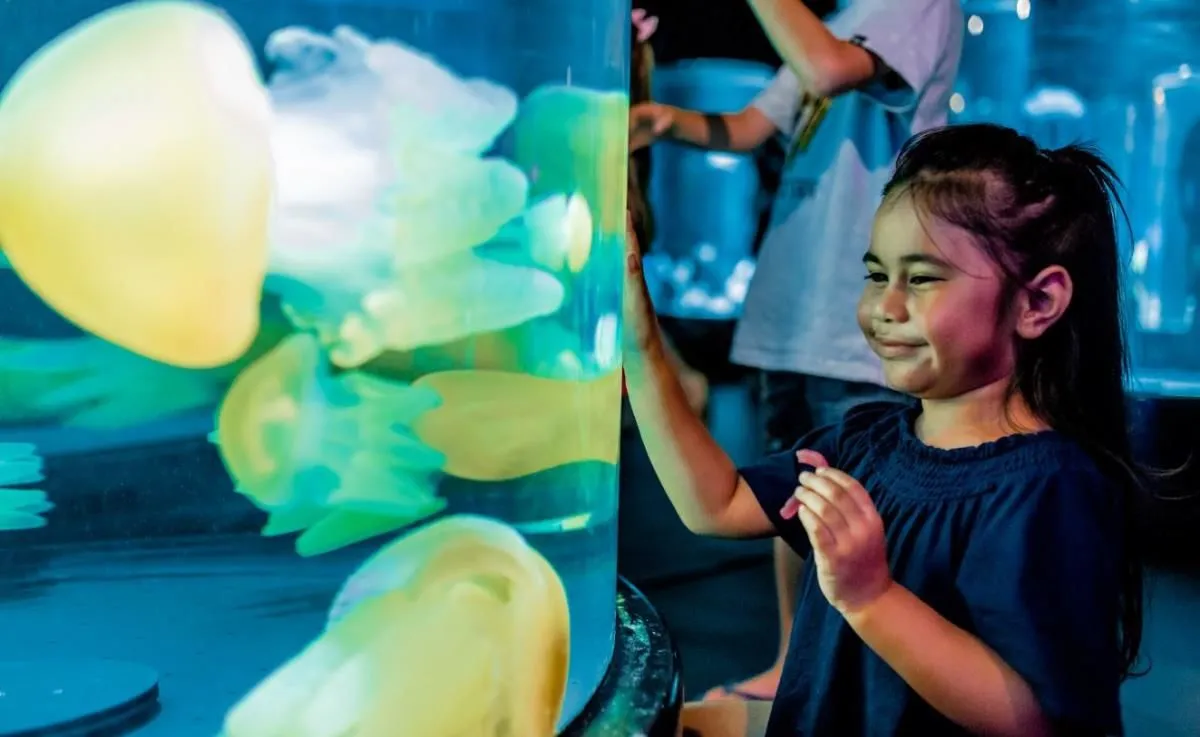Business 11 image SEA LIFE SYDNEY AQUARIUM