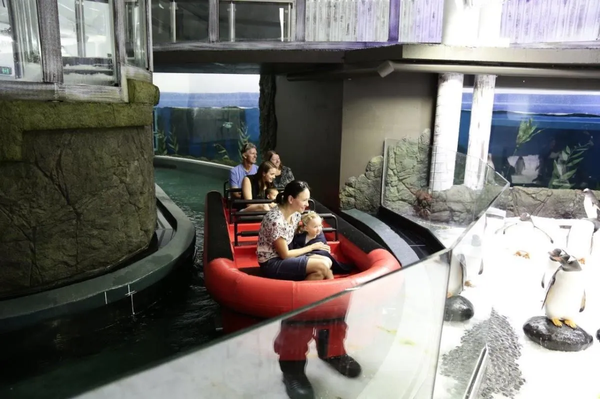 Business 3 image SEA LIFE SYDNEY AQUARIUM
