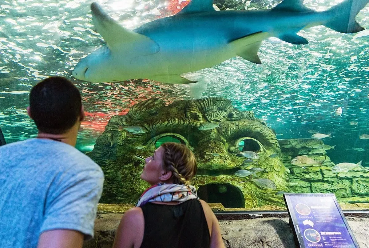 Business 5 image SEA LIFE SYDNEY AQUARIUM