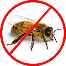 Business 1 image BEE PEST CONTROL SYDNEY