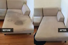 Business 4 image COUCH CLEANING GEELONG