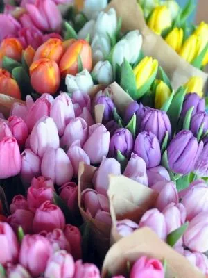 Business 2 image DAILY FLOWER DEALS