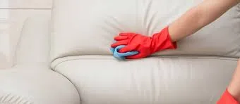 Business 5 image COUCH CLEANING GEELONG