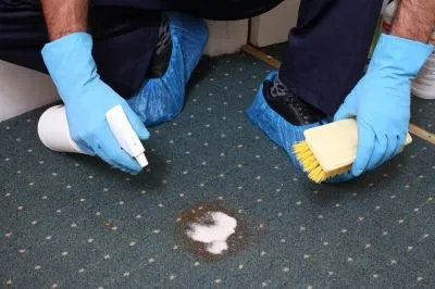 Business 6 image PAUL'S CLEANING MELBOURNE