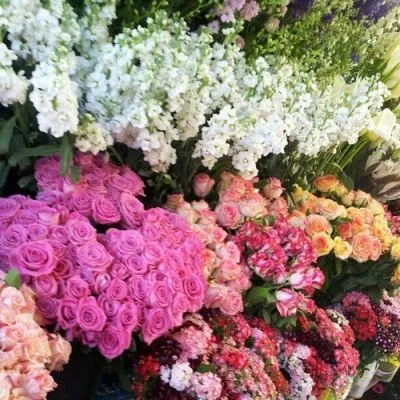 Business 3 image DAILY FLOWER DEALS