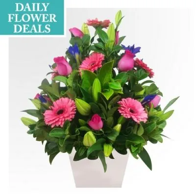 Business 6 image DAILY FLOWER DEALS