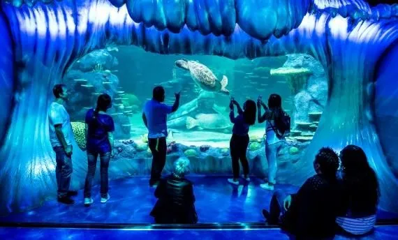 Business 2 image SEA LIFE SYDNEY AQUARIUM