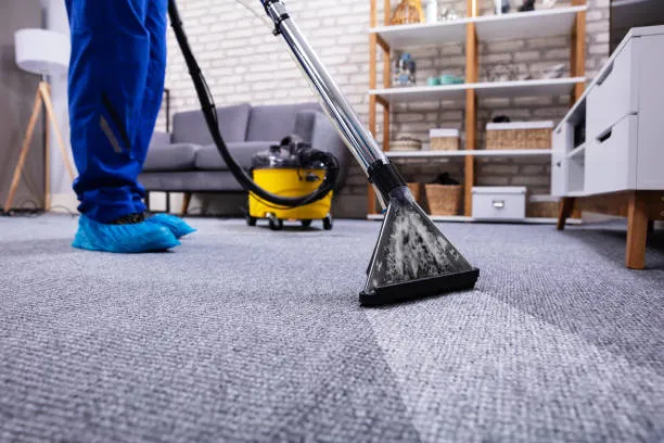 Business 3 image CARPET CLEANING BOORAGOON