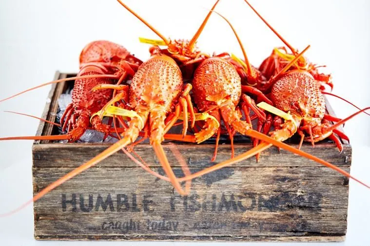 Business 32 image CYREN BAR GRILL SEAFOOD