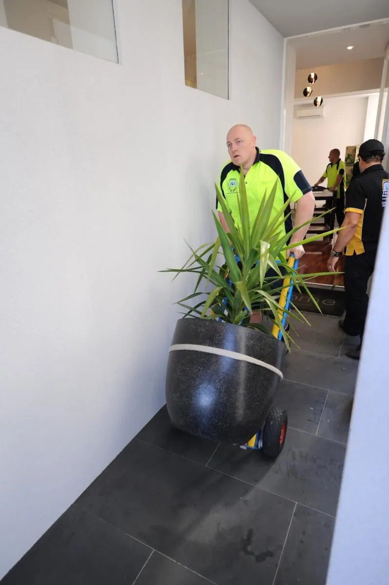 Business 36 image TRANSCORP REMOVALS & STORAGE