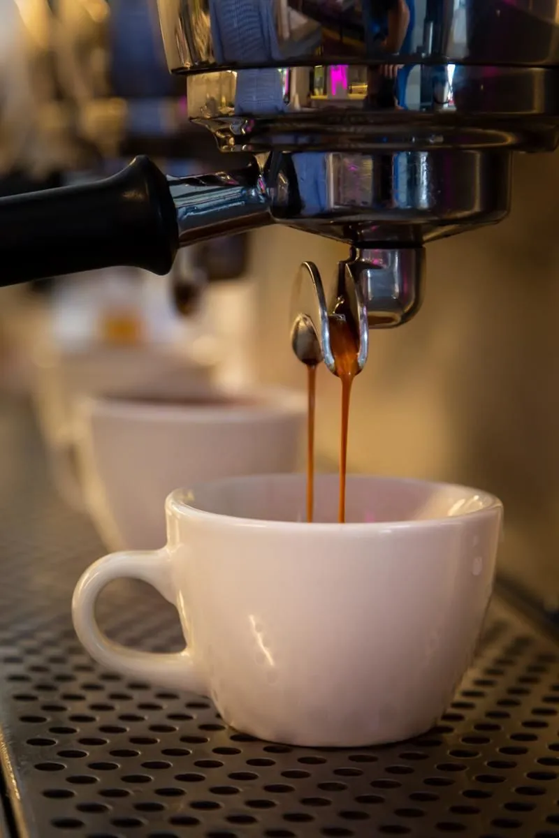 Business 6 image SKULL AND ROSE CAFE