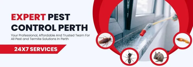 Business 1 image RODENT TREATMENT PERTH