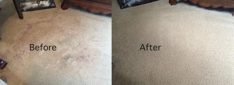 Business 3 image FLOOD DAMAGE RESTORATION ADELAIDE