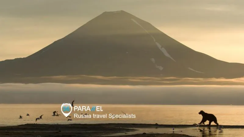 Business 2 image 56TH PARALLEL