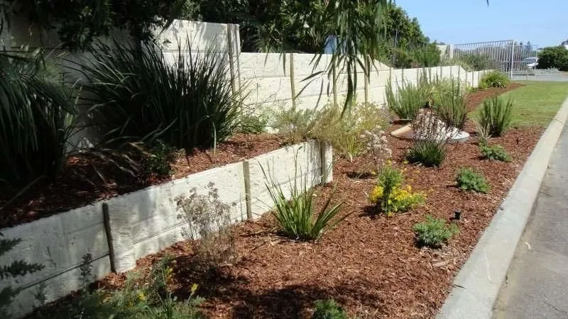 Business 1 image WONDER WALLS