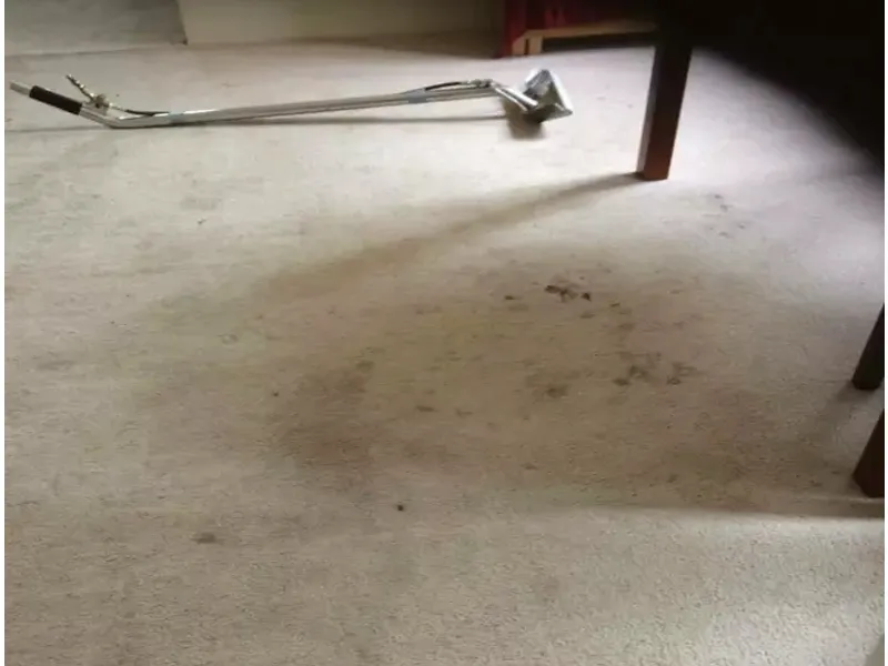 Business 1 image CARPET CLEANING BOORAGOON