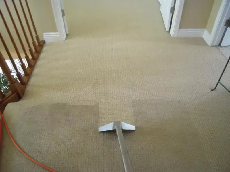 Business 4 image CARPET CLEANING BOORAGOON