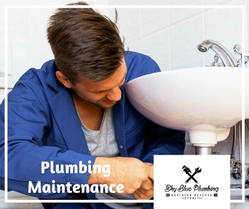 Business 2 image SKY BLUE PLUMBING