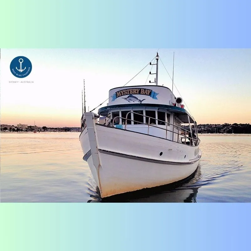 Business 9 image DEEP BLUE CHARTERS
