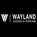 WAYLAND ACCESS & RINGGING Rock Fall Netting in Marrickville NSW