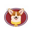 HOT DOG WALKING Pet Care in Sydney NSW