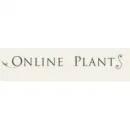 BIRD OF PARADISE PLANT FOR SALE | STRELITZIA REGINAE Gardeners in Melbourne VIC