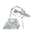 NATURAL SELECTION GIFTS