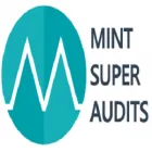 MINT SUPER AUDITS
