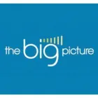 THE BIG PICTURE