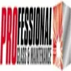 PROFESSIONAL GLASS & MAINTENANCE