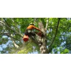 TREE LOPPING PERTH WA