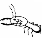 TC'S PEST & TERMITE MANAGEMENT