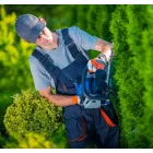 ARBORISTSHOBART.COM.AU