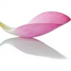 CITY NATURAL THERAPIES