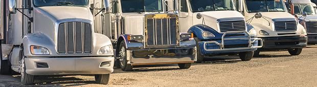 RURAL AFFINITY INSURANCE AGENCY PTY LTD Insurance Agents